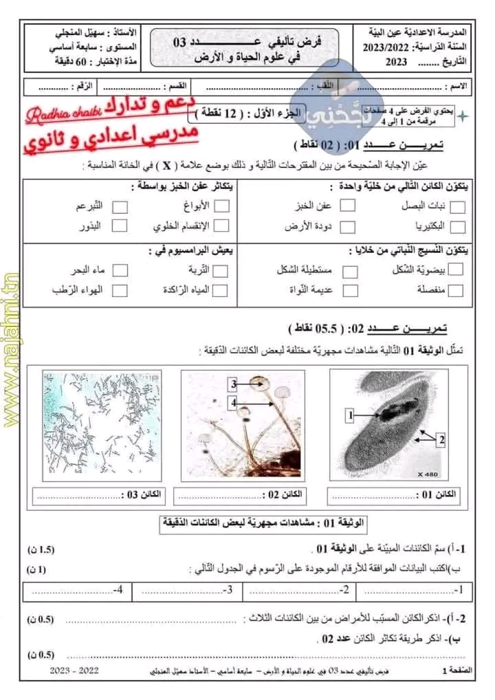 682c377131225-1000069682.jpg صورة المقال