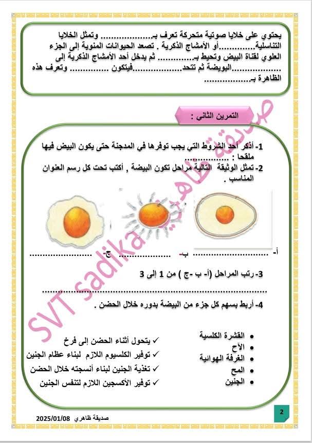 682de3522c7ca-1000070460.jpg صورة المقال