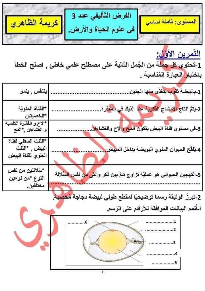 6831bea679d61-1000071687.jpg صورة المقال